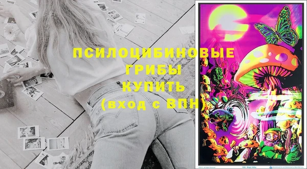 a pvp Кукмор